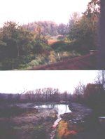35-158247-pondbefore&after.JPG