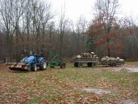 35-210317-webwoodtrain.jpg