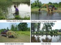 47-209267-pond.jpg