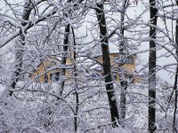 54-210463-20021118-Studio-in-winter.jpg
