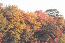 8-28502-colors3.jpg