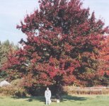 8-28504-colors4.jpg