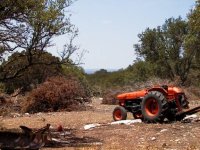 306179-tractor view.JPG