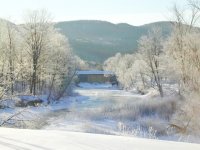 35-102015-frosty.jpg