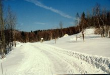 35-29893-project.JPG