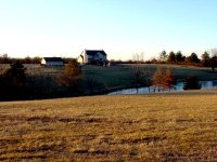 8-30212-BackYard.JPG
