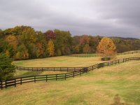 35-160416-BackYard.jpg