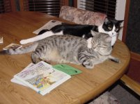 307169-Best friends.JPG