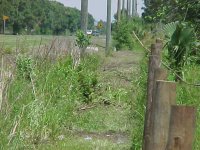 257855-land050-0403.jpg