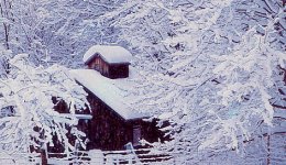 5-30625-Winter1.jpg