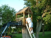 307801-Tree House 5.JPG