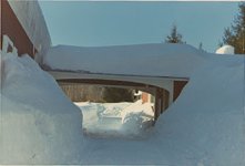 28-30792-winter71.jpg