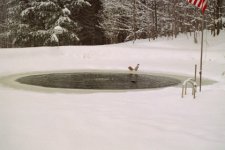 258713-pondsnow.jpg