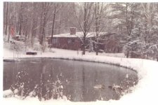 258714-Pond winter.jpg