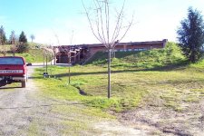 33-104738-284.jpg