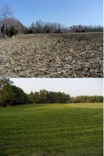 8-163370-thenandnow.jpg