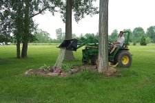 790 Watering.jpg