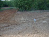 260584-pond4.245.JPG