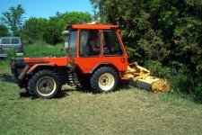 283507-IM000842autolevelsmall.JPG
