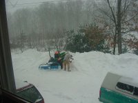 236718-snow4.jpg