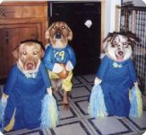 329109-HALLOWEEN2000.jpg