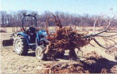 33-131922-boomerTree1.jpg