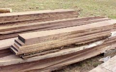 329145-Walnut560BF.JPG
