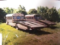 236796-Bussesses.jpg
