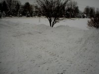 236799-Snow2.JPG