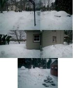 236994-snow.jpg