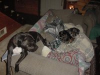 236877-Lazy Help.jpg