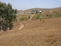 284260-Hillside2.jpg