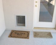 329604-Paws.jpg