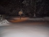 237328-DSC00428.JPG