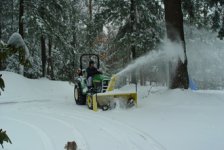237331-treeblast.jpg
