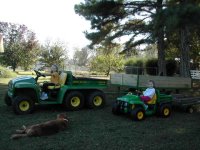 329712-Girls and Gators.JPG