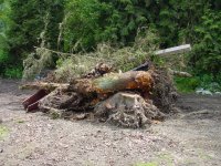 284836-BurnPile.jpg
