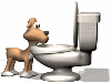 35-66051-DogDrinking.gif