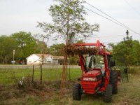 5-133014-Treegetterdifferentrootstyle.JPG