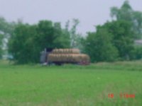 285689-Mvc-003s.jpg