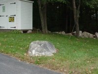 238388-1.jpg