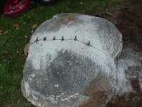 238393-4.jpg