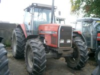 P_255_C_1[1].jpg