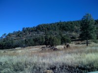 IMG_0097.jpg