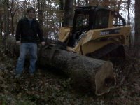 logging 11.20.07.jpg