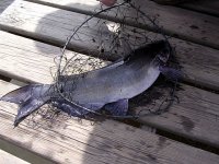 DSCN4336.jpg