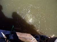 DSCN4328.jpg