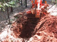 Stump removed.JPG