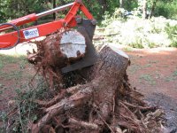 stump @ pile.JPG