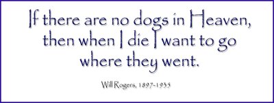 dogs-in-heaven.jpg